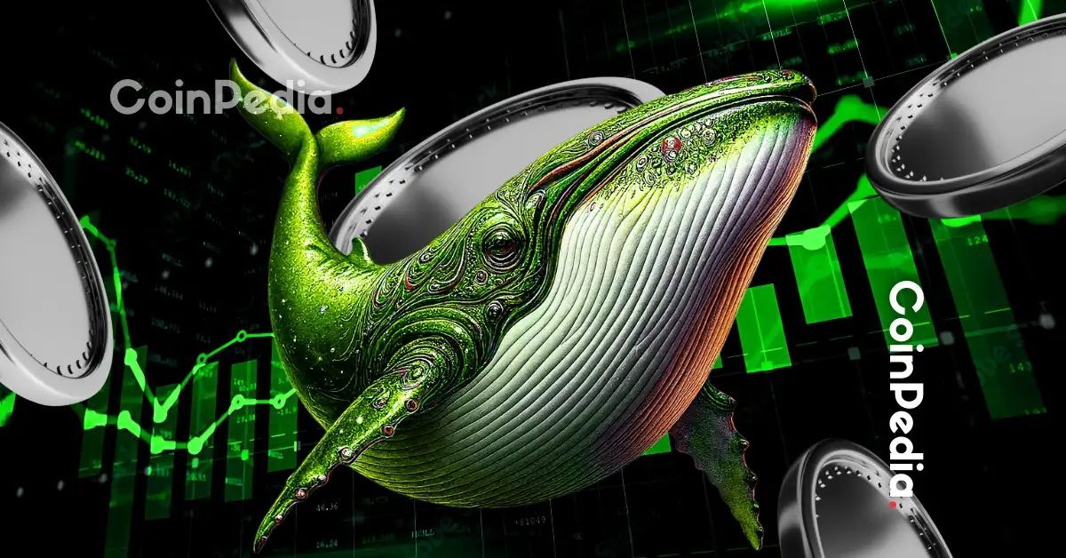 These 5 Altcoins Are Seeing the Biggest Whale Accumulation Right Now