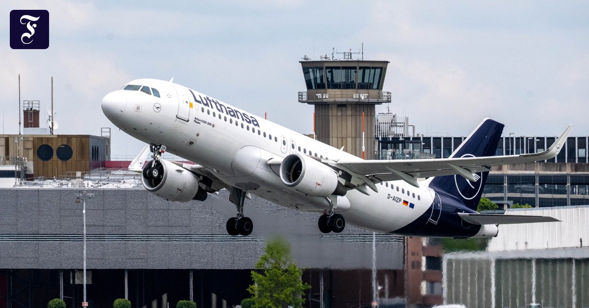 Zuschüsse sollen helfen: Lufthansa ruft nach Staatsgeld für Inlandsflüge