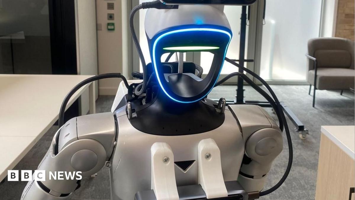 The virtual worlds where robots are trained