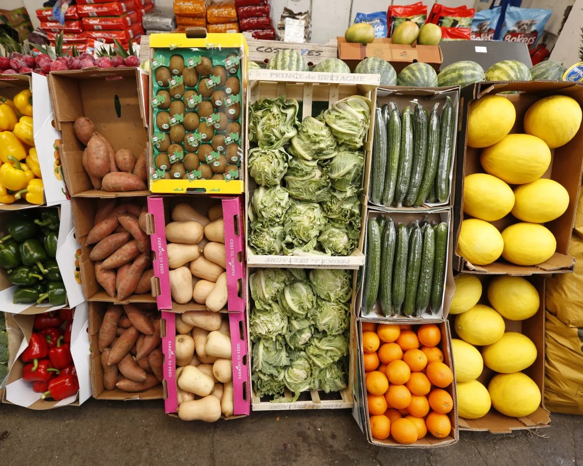 British government ‘complacent about food as a national security matter’